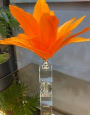 kristal tüy turuncu