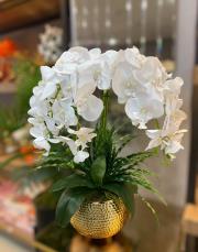 dövü saksı 6 lı ıslak orkide gold