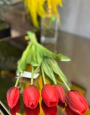 ıslak orjinal  5 dal lale kırmızı