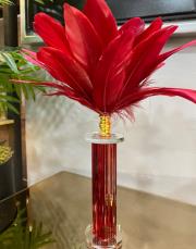 cam ayak kartal tüyü kırmızı