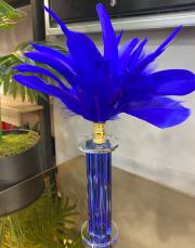 cam ayak kartal tüyü mavi